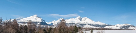 450x100_450 450x100_450