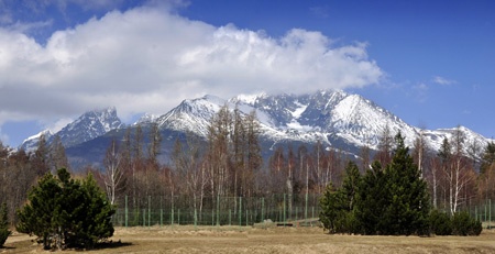 5381slesna_450 5381slesna_450