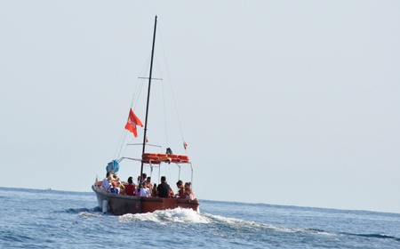 dsc_2474_450 dsc_2474_450