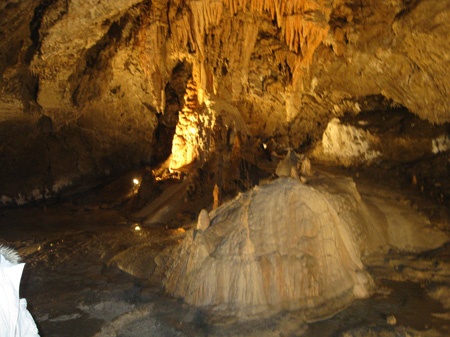 img_9256_450 img_9256_450