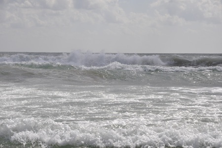 n90_dsc000167_450 n90_dsc000167_450