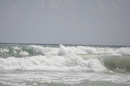 n90_dsc000500_450 n90_dsc000500_450
