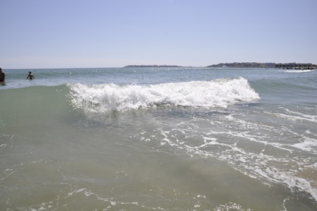 n90_dsc000658_450 n90_dsc000658_450