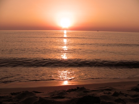 sany0096_450 sany0096_450