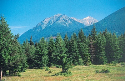 tatry5_400 tatry5_400