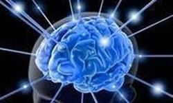OZNAM - Diagnostická skupina a biofeedback